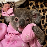 A wide-eyed newborn gazes at the camera while cozied up in a pink star-patterned onesie, with a fluffy white blanket and leopard-print backdrop nearby. A furry companion seems to be photobombing from the side like a very serious security guard.