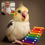 A joyful baby in a white tank top is laughing heartily while sitting on a couch with patterned cushions, holding a colorful xylophone toy that matches the vibrant mood.