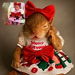 A tiny newborn baby dressed in festive Christmas attire, complete with a big red bow on the head and a matching bow on the dress, is peacefully sleeping in a cozy cushioned baby seat. The outfit is adorned with holiday-themed prints like Christmas trees and presents, making the scene adorable and heartwarming.