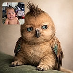 A chubby baby with a quirky mohawk hairstyle looks off to the side with a curious and slightly skeptical expression, held gently in a cozy home setting filled with colorful toys and furniture in the background.