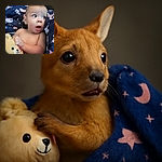 A surprised baby clutching a cute stuffed animal, wrapped in a starry blanket with a dark background, capturing a candid moment of wide-eyed wonder.