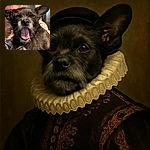 A close-up photo of a scruffy black dog mid-yawn, tongue out and eyes closed, being held by a person partially visible in the background. The image is a bit blurry, adding a candid and cozy feel.