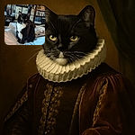 A dignified black and white tuxedo cat sits regally on a cozy white blanket, with a backdrop of a cluttered room filled with bookshelves and storage bins, giving off an air of quiet contemplation and feline superiority.