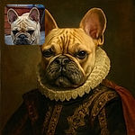 A close-up shot of a curious French Bulldog with its signature wrinkled face and large ears, looking straight into the camera with a slightly serious expression. The background is softly blurred, highlighting the dog's adorable features.