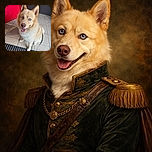 A fluffy light brown dog with striking blue eyes looks up with a happy, tongue-out smile, sitting on tiled floor near a bright red door, leash trailing beside it.
