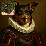 A cheerful dog looks up excitedly from the grassy ground as a tattooed leg rests on a sunlit tree trunk, capturing a candid moment of outdoor companionship and nature vibes.