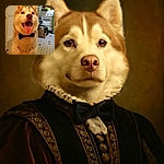 A happy husky dog wearing a black bow tie, sitting in a cozy kitchen with a tiled floor and household items in the background. The dog looks cheerful with its tongue out, giving off a charming and dapper vibe.