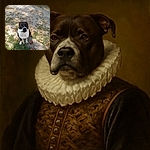 A charming black and white dog sitting obediently on a patch of mixed grass and gravel, looking up with a slightly squinting, almost skeptical expression as if questioning the photographer's intentions.