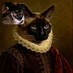 A slightly blurry photo of a fluffy Siamese cat with striking blue eyes resting on a striped fabric surface, with a cluttered background that includes patterned blankets and household items.