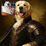 A gleeful golden retriever hogs the frame, nose and tongue front-and-center (complete with a dramatic dark spot), lounging on a couch with a cozy plaid blanket and a softly blurred living-room backdrop—looks like it's auditioning for "Goodest Boy of the Year."