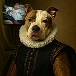 A relaxed dog lying on its back on a pink blanket, looking content and cozy, with a tattooed arm visible nearby. The photo has a casual, candid feel with soft lighting and a slightly grainy texture.