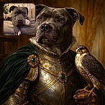 A soulful gray dog with white paws lounges on a cozy beige couch, gazing directly into the camera with a calm and thoughtful expression. The background features a softly lit room with plants and framed art, adding a warm and homey vibe.