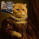 A blurry photo shows a person wearing a patterned sweater holding a ginger cat. The cat looks slightly grumpy, and the cozy indoor setting includes patterned pillows in the background.