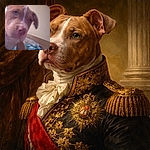 A hilariously close-up dog selfie: smooshed nose and one ear flopped, caught mid-ponder with everything delightfully blurry like it leaned into the camera for maximum smooch impact.