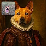A happy dog with a wide smile and tongue out stands in a grassy field, looking directly at the camera with ears perked up, surrounded by a natural backdrop of trees and wildflowers.