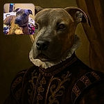 A handsome brindle dog lounges comfortably on a colorful blanket-covered bed, gazing curiously at the camera with soulful eyes. The background features a wavy mirror and a softly lit room, adding a cozy vibe to the portrait.
