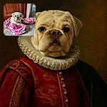 A cute cream-colored pug puppy is cozily nestled on a bright pink Hello Kitty blanket, looking up with big soulful eyes, surrounded by warm wooden and tiled floors.