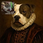 A cozy close-up selfie featuring a large dog with a white and gray face, snuggling closely with a person partially visible in the background. The image is grainy and tilted, with green text overlay saying 'I do fits...'.