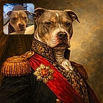 A serious-looking pitbull leans over a ledge as if demanding snacks or an explanation. Close-up of its expressive eyes, big nose and plaid bandana with a cozy bed and tiled floor in the background — equal parts adorable and mildly accusatory.