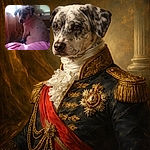 A spotty puppy sulks theatrically on a pink bed by a sunlit window — ears flopped, nose flecked with black, looking back like it knows it's adorable (and possibly guilty). Soft curtains and blinds frame the cozy indoor scene.