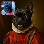 A charming French Bulldog wearing a bright orange harness sits in a car seat, grinning with visible teeth and big, expressive eyes. The dog's ears stand tall, and the background shows the car's interior. The photo has a playful text overlay at the bottom that adds humor about the dog's photo-taking skills.