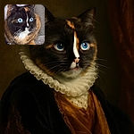 A close-up shot of a cat with stunningly bright blue eyes and a unique tortoiseshell coat pattern, sitting comfortably on a soft surface with a textured background. The photo captures the cat's curious and alert expression with fine detail on its whiskers and fur.
