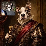 A wide-eyed puppy with a patchy coat looks up adorably from a hardwood floor and gray rug, casting a dramatic shadow. The foreground shows a colorful patterned fabric and a glimpse of a cup, adding a cozy indoor vibe.