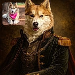 A majestic dog with heterochromia (two different colored eyes) lounges on a reddish dirt path, sporting a bright pink bandana that pops against its fluffy light brown and white fur. The background is softly blurred, highlighting the dog's regal pose and friendly expression with its tongue slightly out.