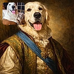 A gleeful golden retriever hogs the frame, nose and tongue front-and-center (complete with a dramatic dark spot), lounging on a couch with a cozy plaid blanket and a softly blurred living-room backdrop—looks like it's auditioning for "Goodest Boy of the Year."