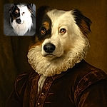 A striking dog with a unique half-black, half-white face looks up with soulful brown eyes, its fluffy fur creating a natural portrait against a simple tiled floor background.
