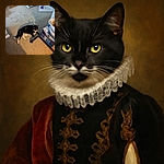 A black and white cat lounges on a carpeted floor next to a table leg and a box for a humidifier, casting a sharp shadow that looks like a cat silhouette. The room has a cozy, lived-in feel with a cat scratcher box and hanging toys visible.