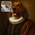 A cheerful dog with a mix of black and brown fur sits happily on a concrete porch, looking up with a friendly expression. The setting includes a broom lying on the ground, a white metal chair with a blue cushion, and a glass door reflecting some outdoor greenery.