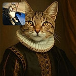 A curious tabby kitten with bright eyes and white paws is perched on a person's lap, looking up with an innocent and inquisitive expression, set against a wooden table and tiled floor background.