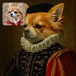 A fluffy, regal-looking dog wearing a cozy red sweater gazes thoughtfully into the distance, with a soft-focus natural background that highlights its expressive eyes and luxurious fur.