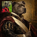 A dignified gray dog wearing a cozy red and black checkered jacket sits outdoors surrounded by green grass and trees, looking off into the distance with a calm and thoughtful expression.