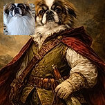 A fluffy dog with a striking white and brown coat is sitting attentively on a patterned carpet, looking straight at the camera with soulful eyes and slightly tousled fur.