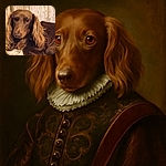 A close-up photo of a long-haired brown dog lounging on a patterned cushion with lace curtains in the background, giving a cozy and homey vibe.