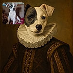 A cute puppy with a black patch over one eye sits on a cozy couch covered with blankets. The background shows some household items slightly out of focus, making the puppy the clear star of this warm, homey snapshot.