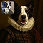 A joyful black and white dog with perky ears and a wide smile sits indoors, looking eagerly at the camera with bright, expressive eyes. The background is softly blurred, putting the spotlight on the happy canine star.