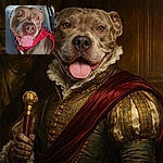 A joyful pitbull monopolizes the backseat — nose and grin filling the frame, tongue lolling out and amber eyes sparkling in sunlight through the car window. Wearing a bright red harness, the dog looks like it just heard the magic word 'park' while the city and upholstery blur politely in the background.