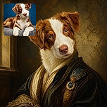 A charming brown-and-white puppy lounges like a fluffy executive on a gray ottoman, giving the camera an adorably serious stare while dramatically dangling its oversized paws over the edge.