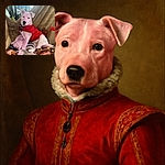 A charming white puppy wearing a bright red jacket lounges comfortably amidst a cozy pile of blankets and bags inside a vehicle, looking curiously at the camera with a slight head tilt.