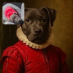 A cozy dog snoozes peacefully on a car seat, wearing a bright red jacket that stands out against the gray upholstery. The pup looks completely relaxed, making the car seat look like the comfiest bed ever.