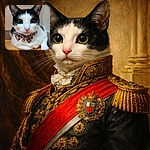 A wide-eyed tuxedo cat stares straight at the camera wearing a leopard-print bow tie with a tiny jingling bell, perched on a wooden surface against a neutral background — looks ready for its close-up or a very fancy nap.