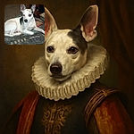 A white dog with black patches lounges on a heavily fur-covered blanket in a cluttered indoor setting. The dog's eyes reflect red from the camera flash, giving it a slightly eerie look, while the background shows a mix of furniture and household items in dim lighting.