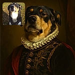 A dog with a serious and slightly squinting expression sits outdoors on a grassy area covered with fallen leaves. The dog wears a black harness and is illuminated by sunlight, which creates a bright patch on its chest. The background shows a concrete wall and more grass.