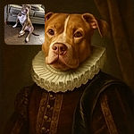 A charming dog with a purple collar sits on a wooden floor, leaning slightly with a curious and attentive expression, against a cozy background of a beige couch with patterned cushions.