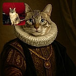 A fluffy tabby cat with striking blue eyes sits regally on a bright red couch, surrounded by everyday household items, looking like the undisputed ruler of the living room kingdom.