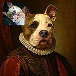 A close-up photo of a light-colored dog with a unique facial pattern that creates an optical illusion of two faces merged into one, lying on a dark surface with a cozy and relaxed vibe.