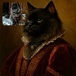 A majestic long-haired black cat with a fluffy mane sits gracefully on a patterned rug, looking off to the side with a curious gaze, wearing a blue collar with a shiny tag, against a cozy wooden kitchen backdrop.